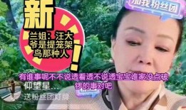 兰姐爆料汪爸爸视频播放,汪爸爸视频播放背后的惊人真相